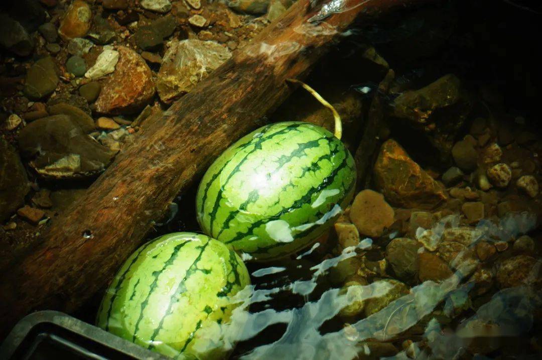 井水鎮(zhèn)西瓜，才是夏天的味道