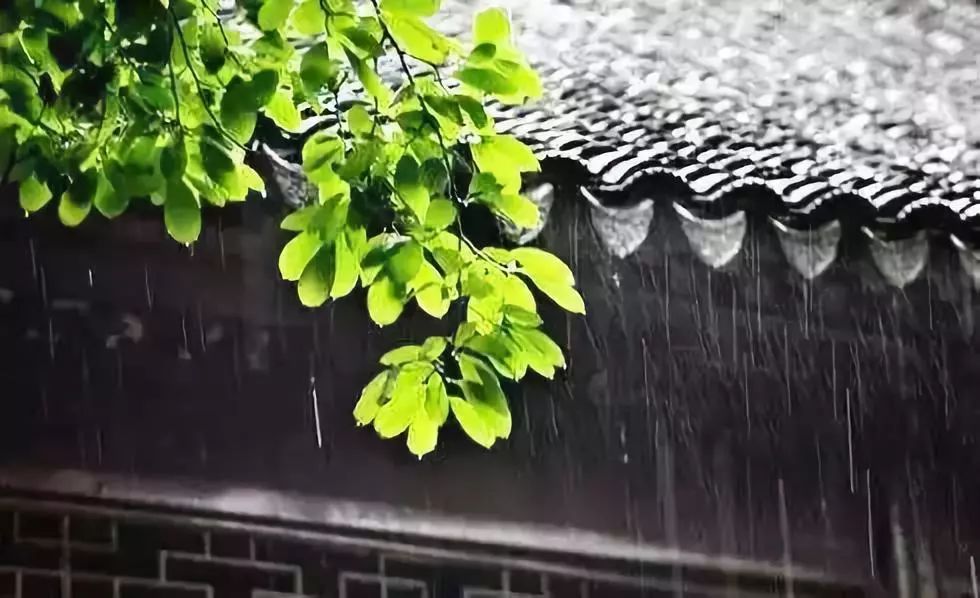 盛夏關中品雨