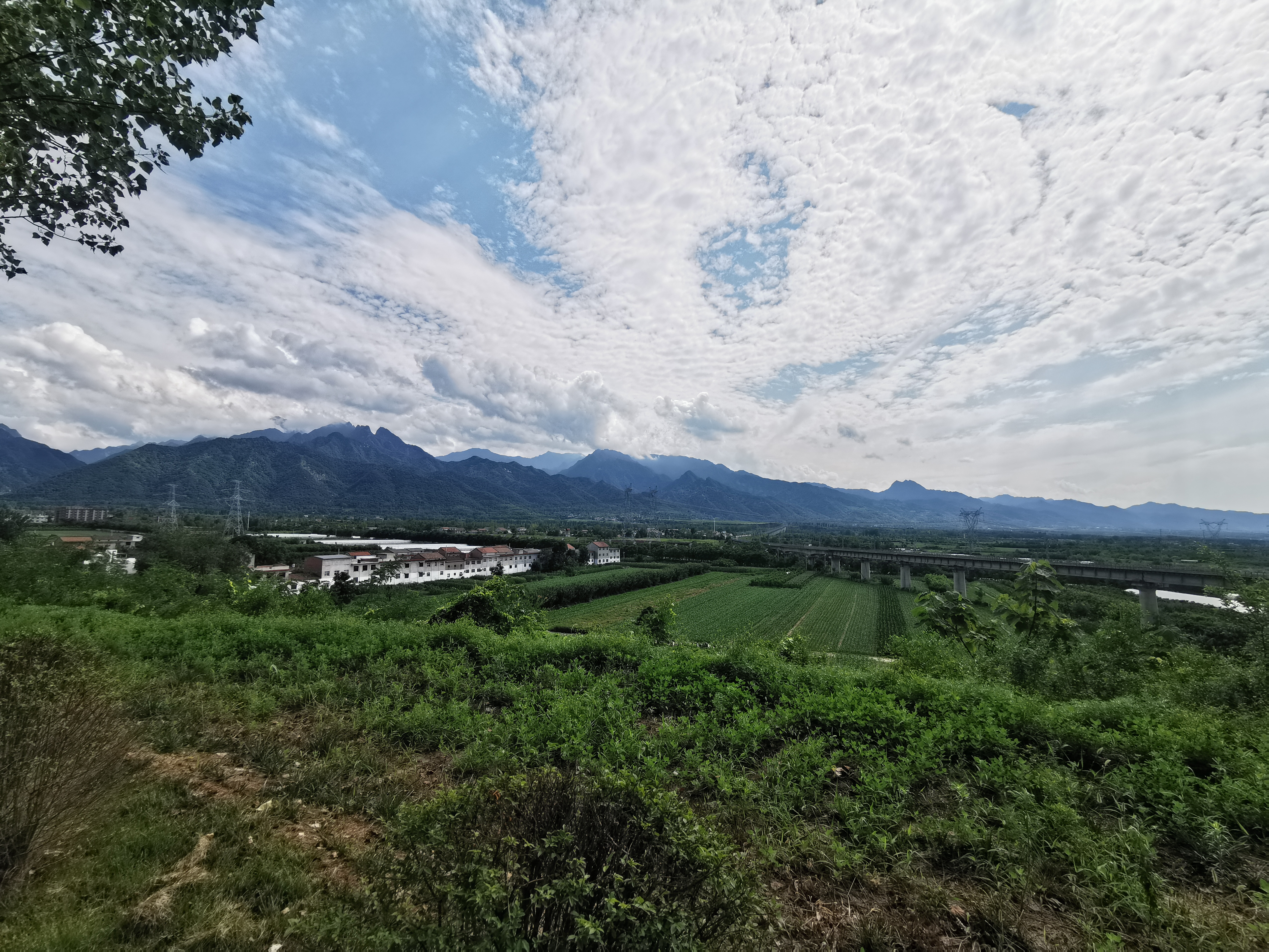滾一身泥巴，煉一顆丹心