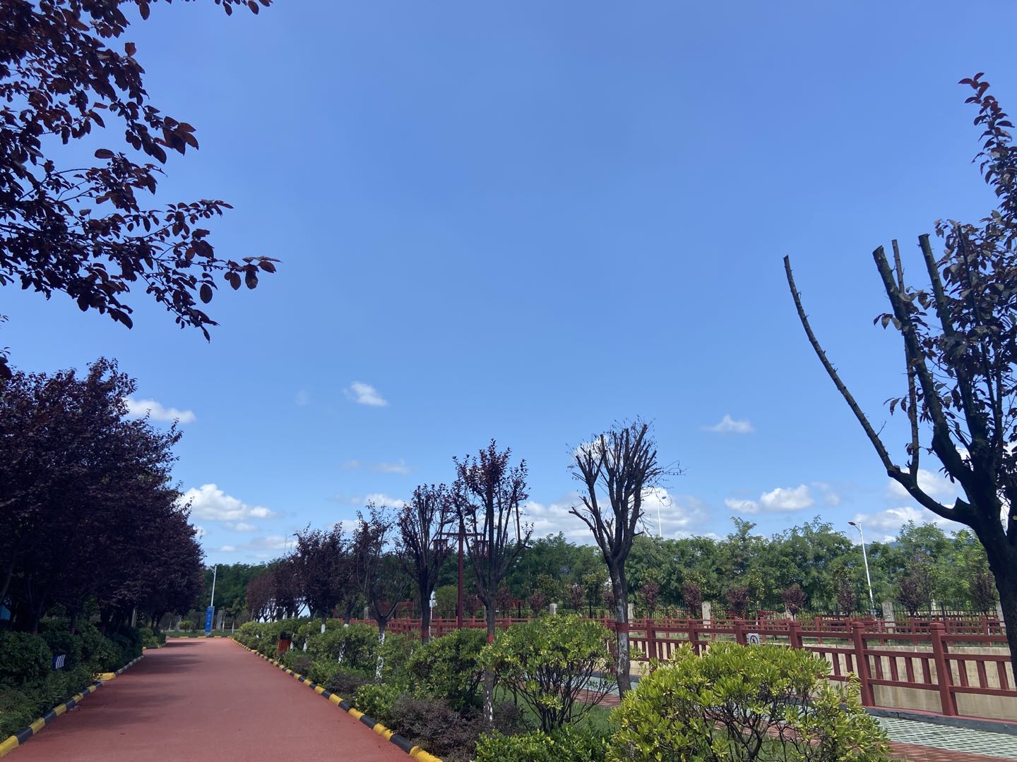 又到風(fēng)起葉落時(shí)！漢鋼那么美，我想帶你去看看