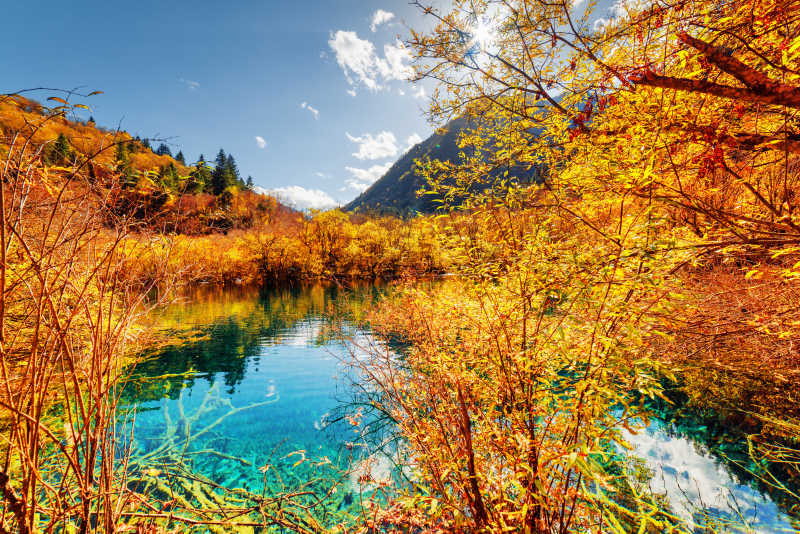 共秋色，紅塵馳騁
