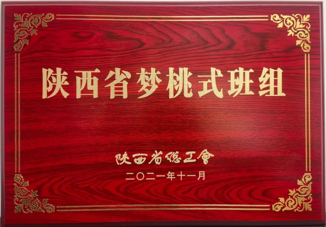 煉鋼廠連鑄車間1#機乙班被陜西省總工會命名為“夢桃式班組”