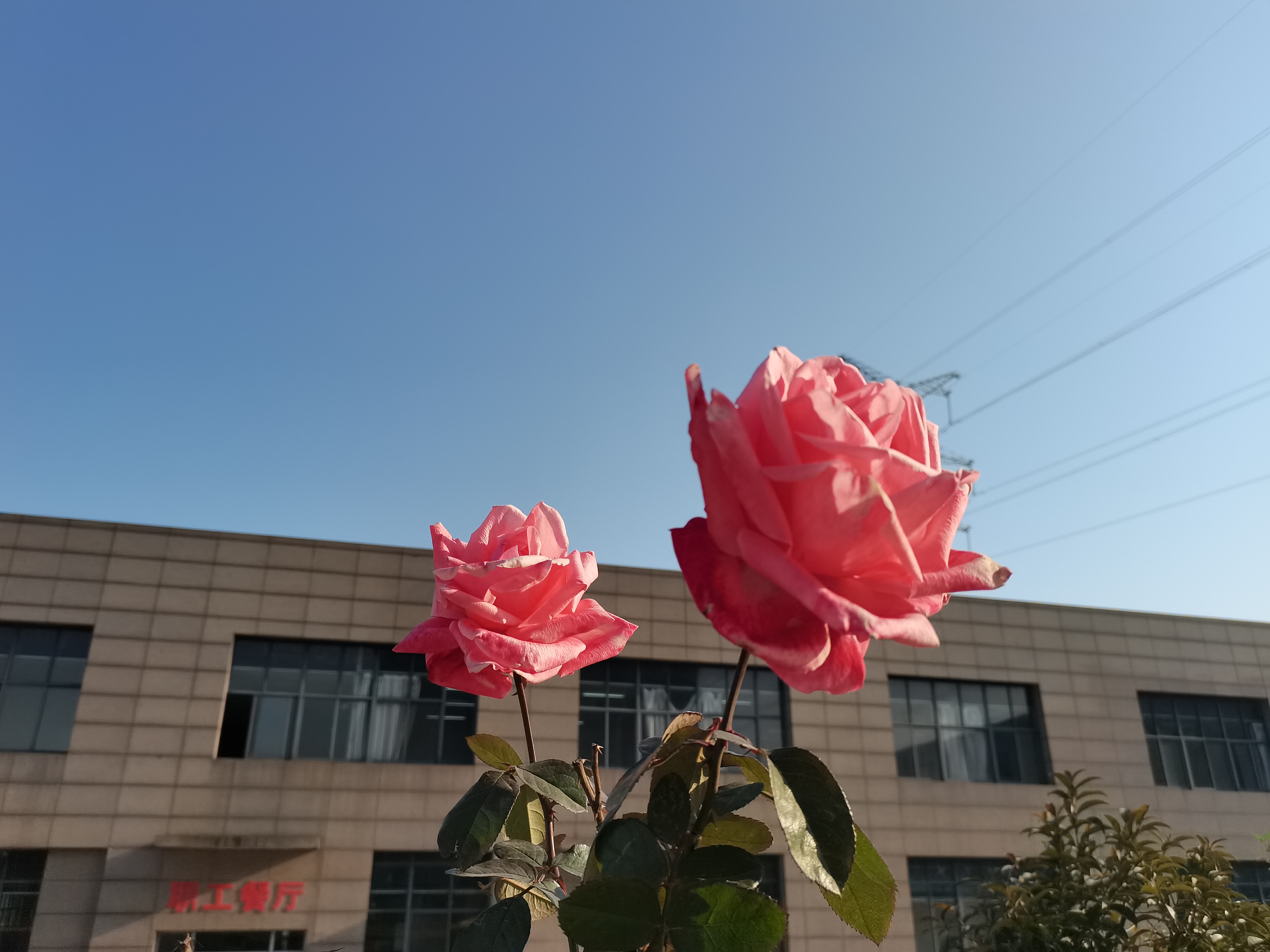 手機(jī)里的幸福時光