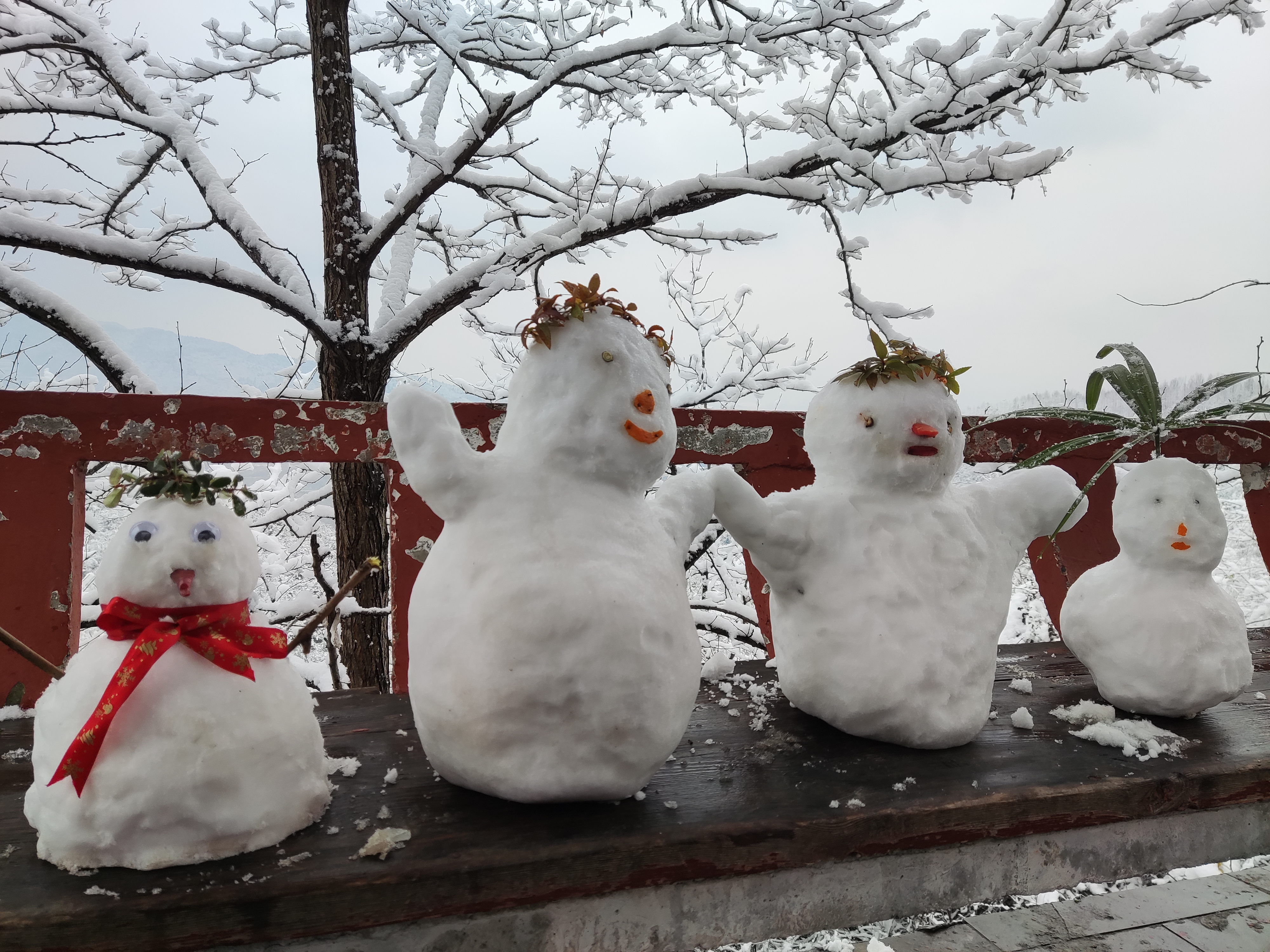 雪落定軍山