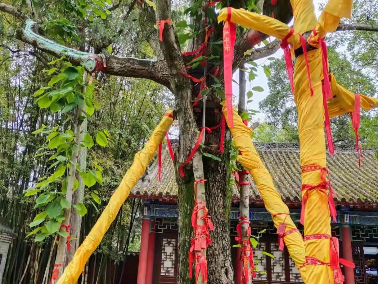 別過舊歲，走進(jìn)新年