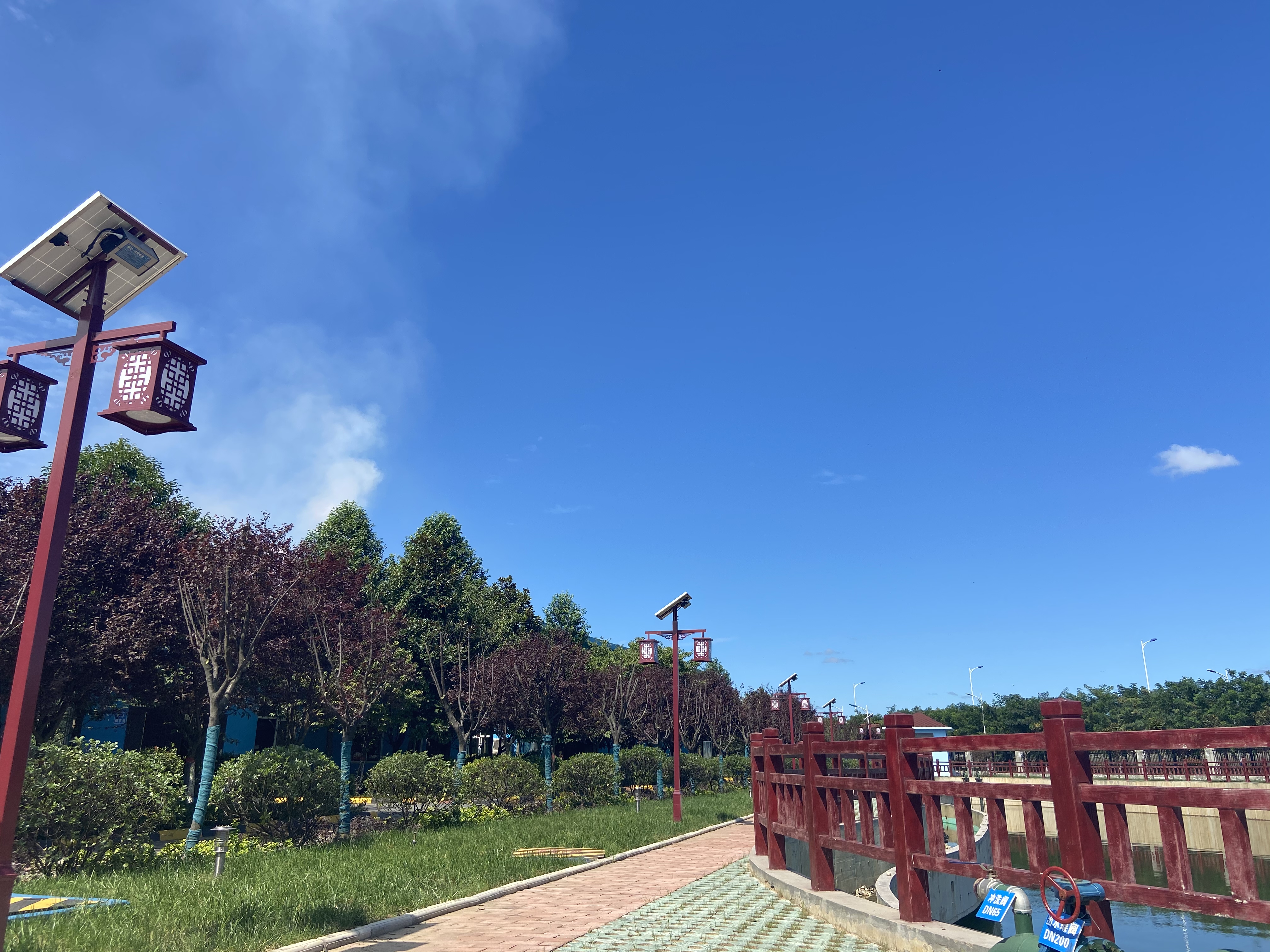 逐“綠”奔跑，傾力打造漢鋼“新名片”
