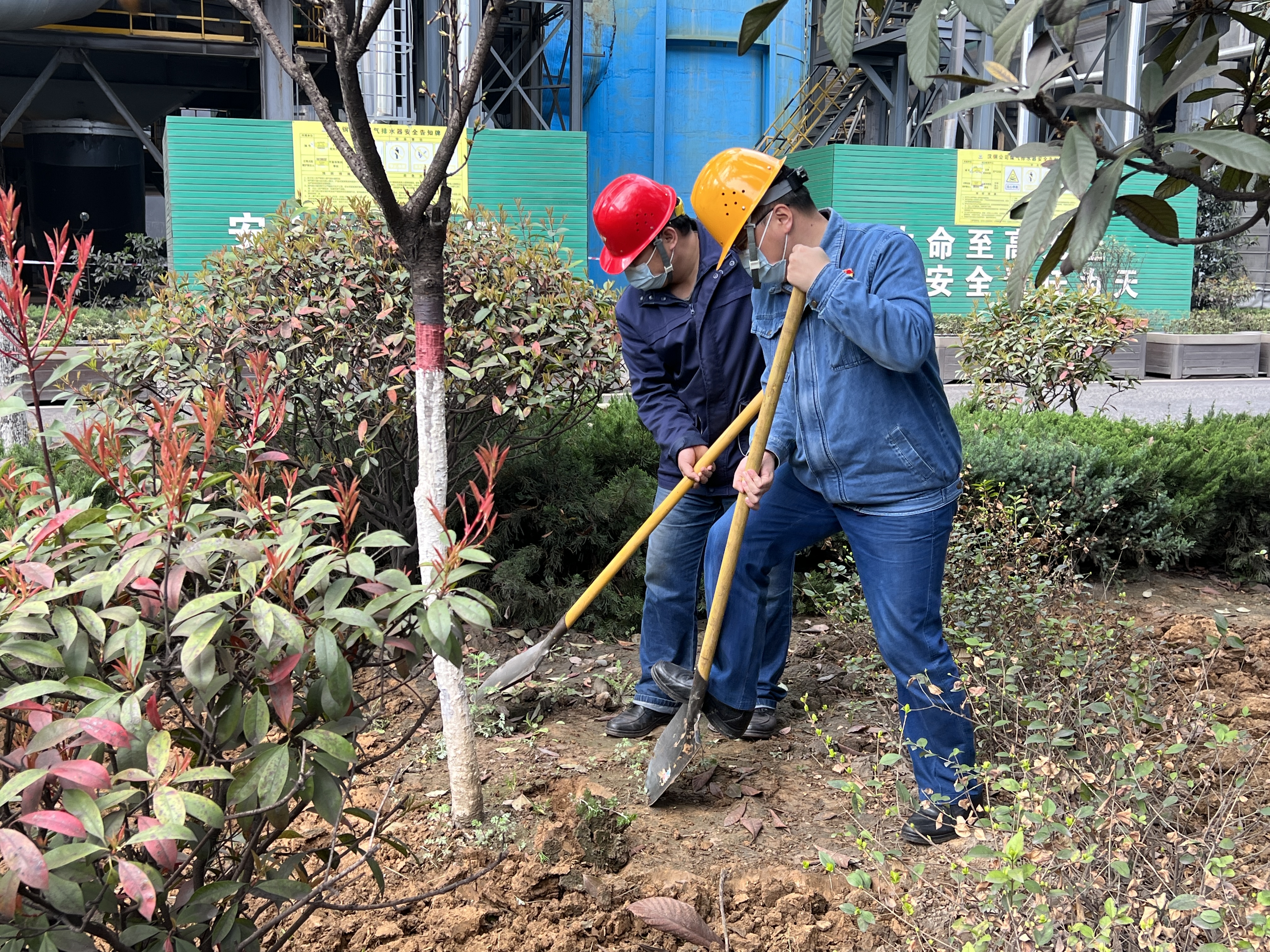 既有顏值又有內(nèi)涵 澆灌“文明之樹”開枝散葉