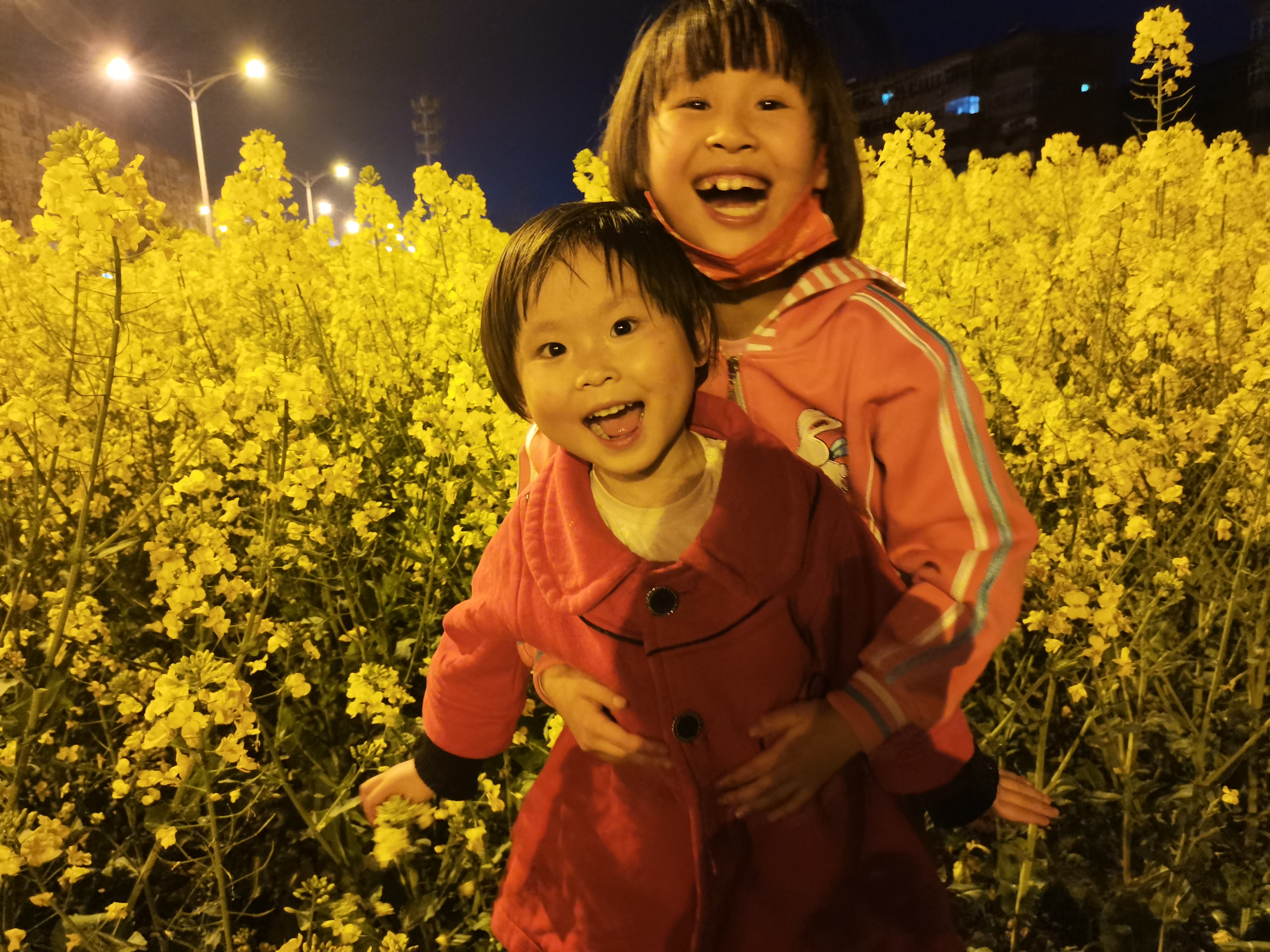 待到下次花黃時(shí)，許你一片花如海         ---寫給女兒們的一封信