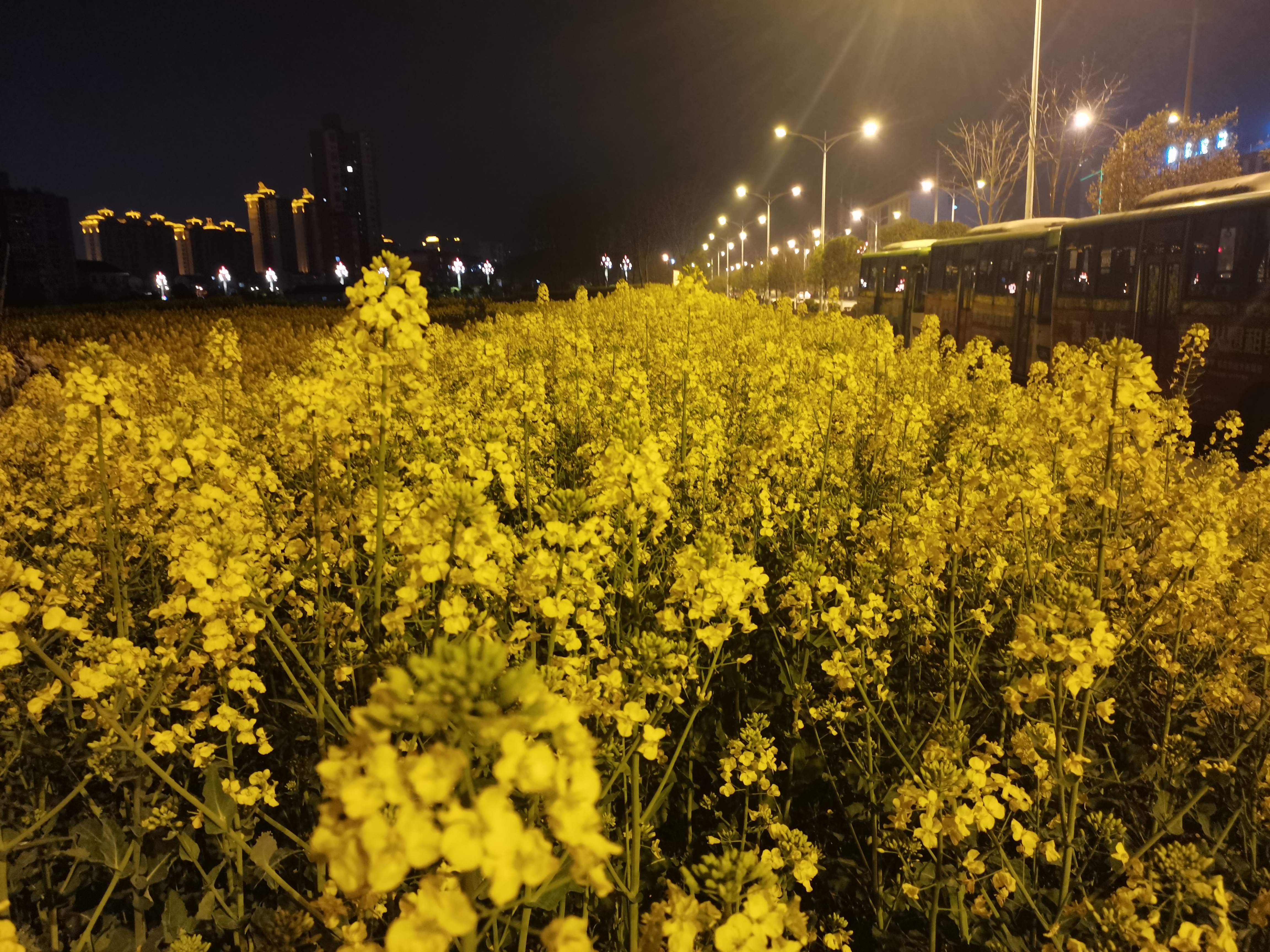 待到下次花黃時(shí)，許你一片花如海         ---寫給女兒們的一封信