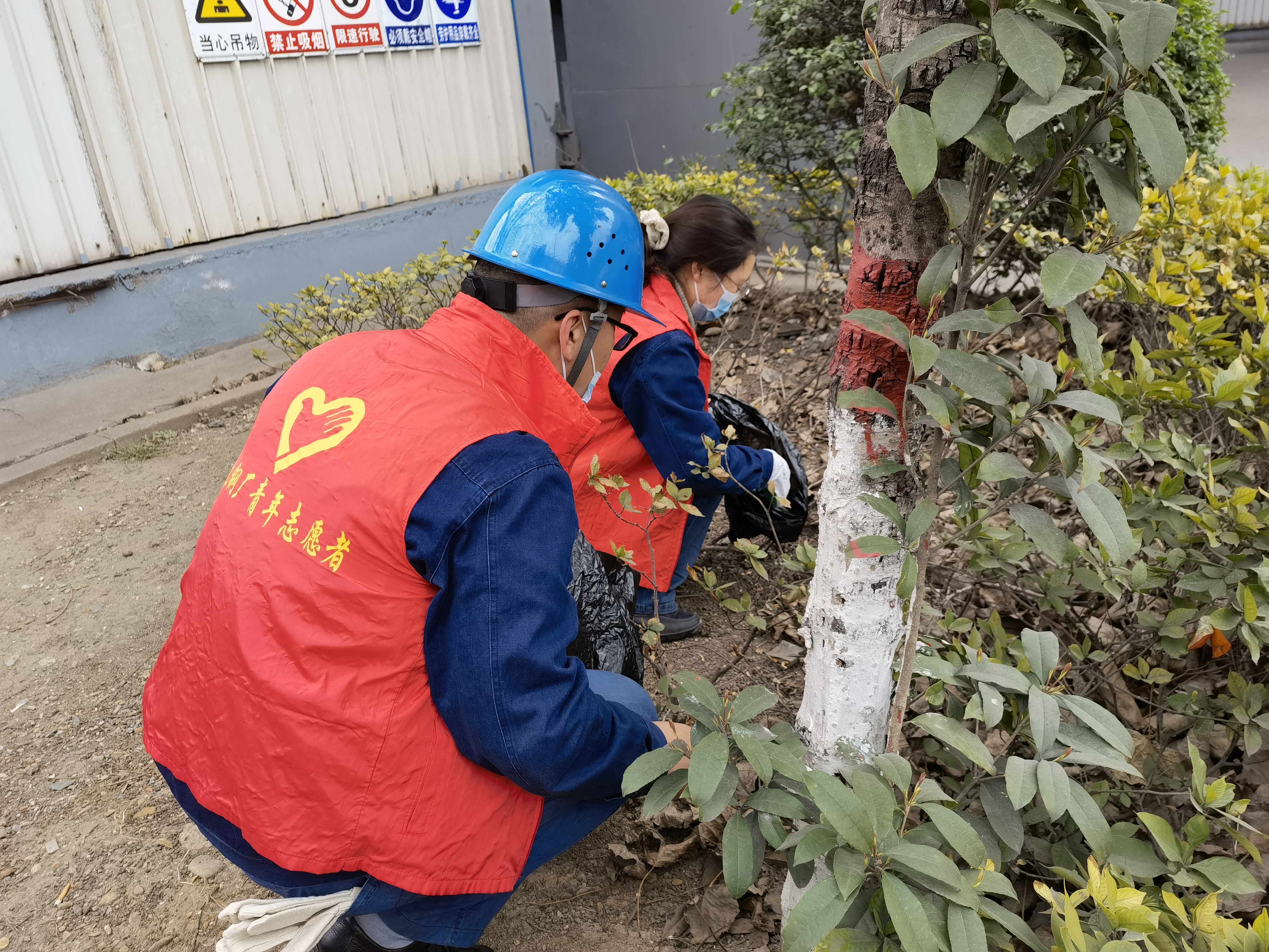 青春有愛  讓“志愿紅”盡情綻放