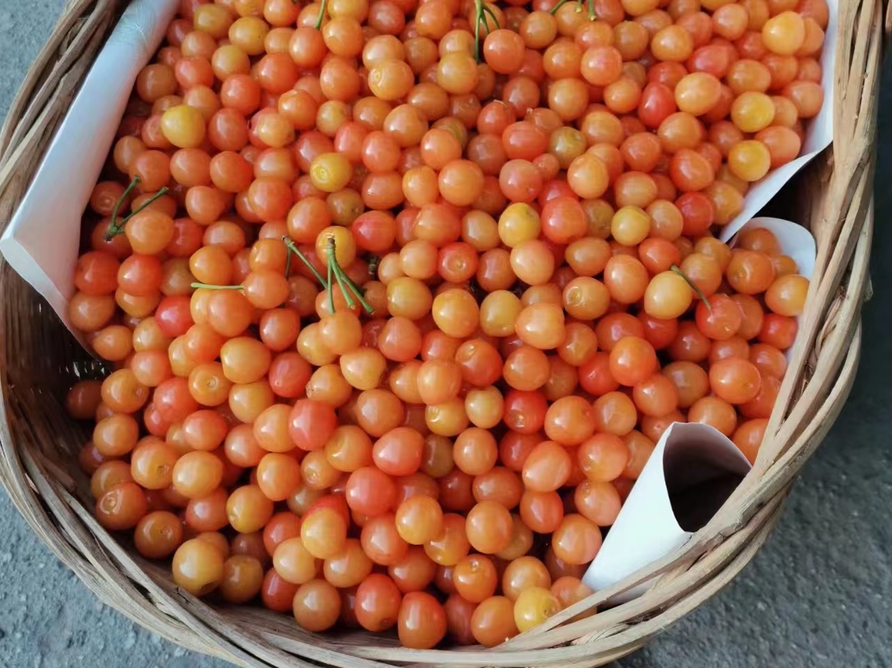 櫻桃紅時(shí)情更濃