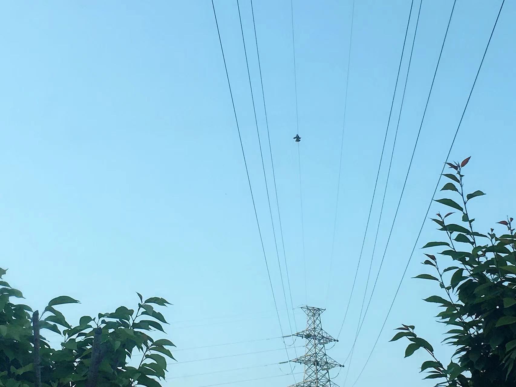 h䓹o(lin)ϵn  hﱣo(h)վcٝ