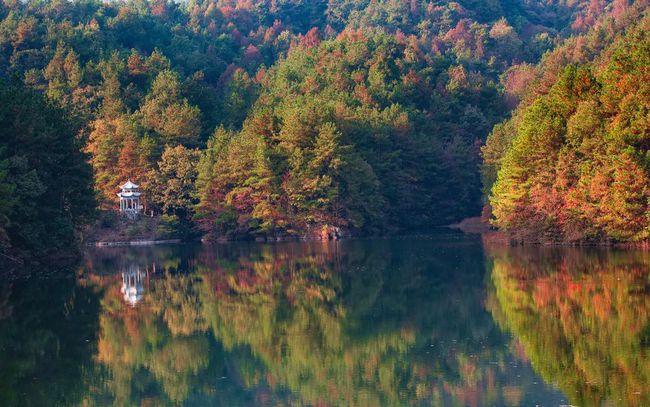 山河已秋，見證光陰的勛章