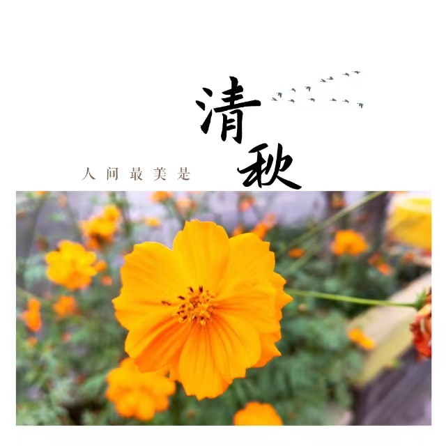 ۽Ǯʮ䓳ǡӡ