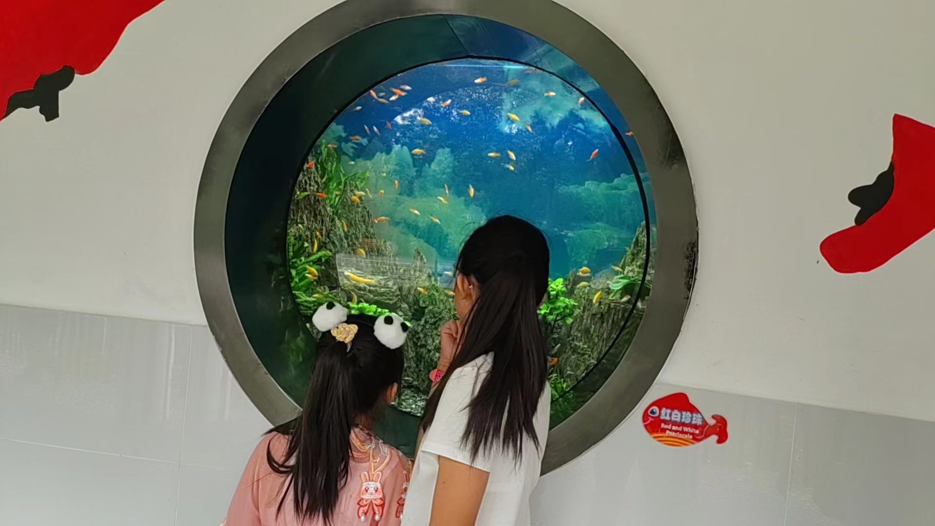 成都游玩