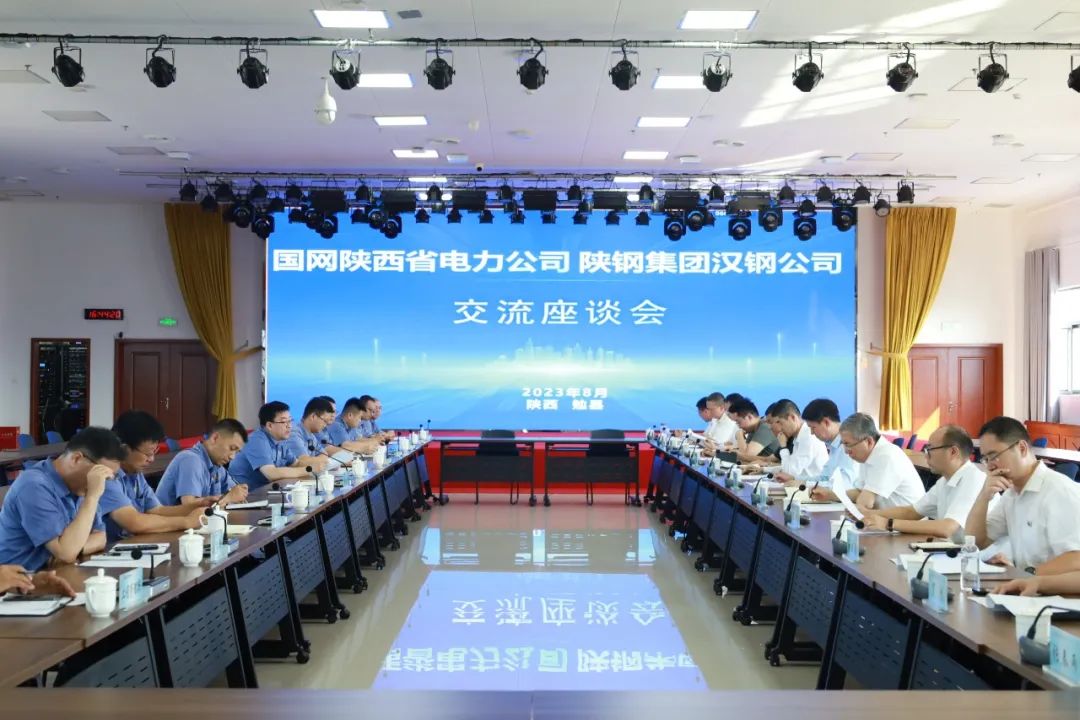 國網(wǎng)陜西省電力有限公司到公司調(diào)研座談