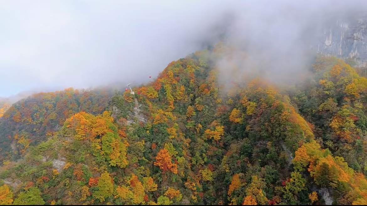 龍頭山，秋如醉