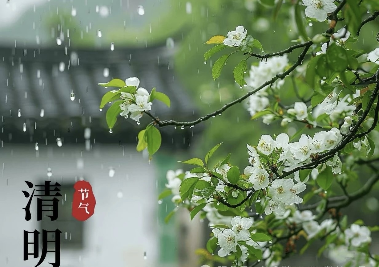 清明：追思與新生的交響