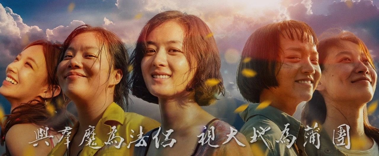 向陽而生，無畏綻放-觀《向陽花》有感