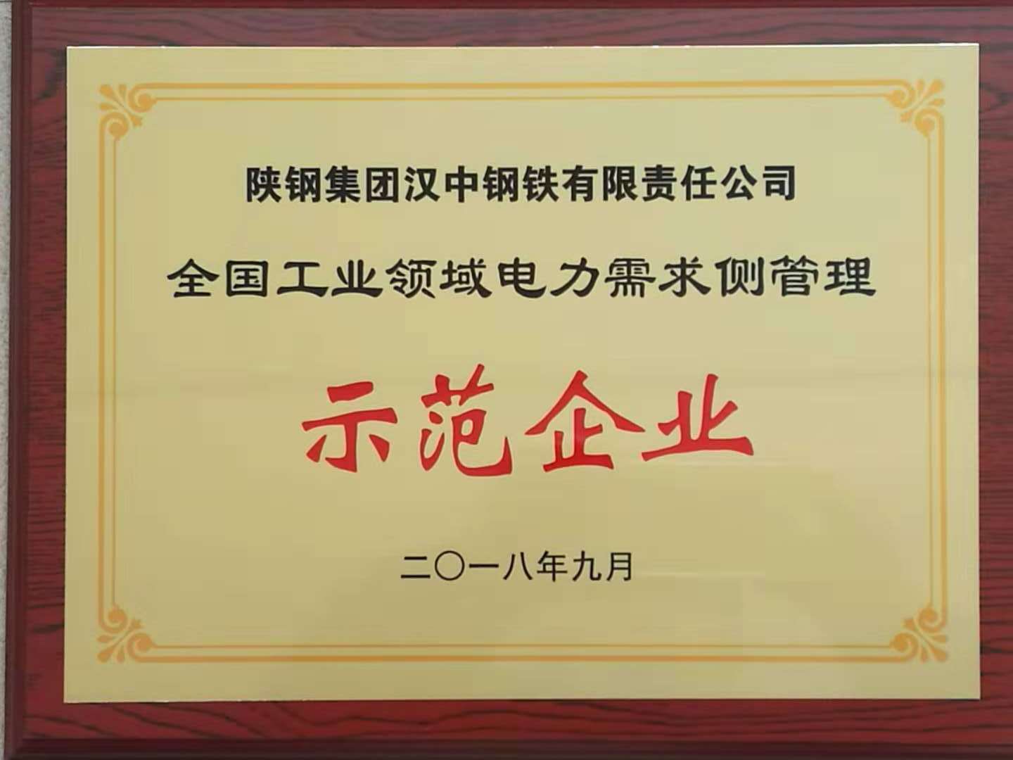 【金色榮譽】公司榮獲全國工業(yè)領(lǐng)域電力需求側(cè)管理第四批示范企業(yè)榮譽稱號