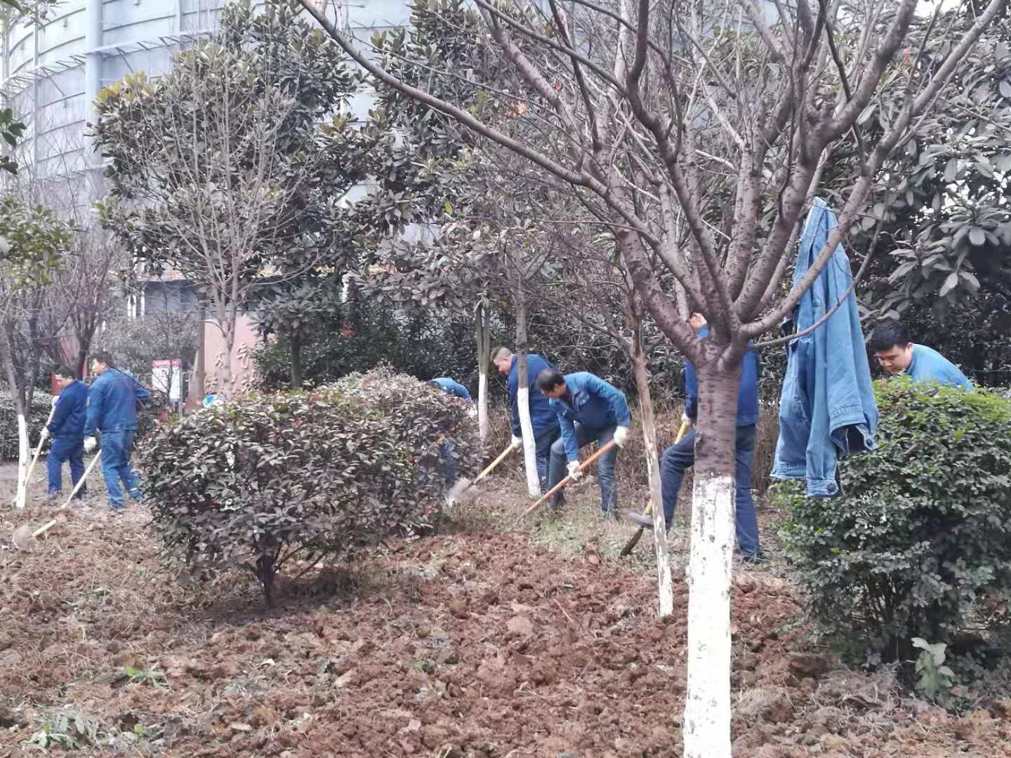 【美麗漢鋼】春暖花開季  護綠增綠正當時 ——漢鋼公司打響春季綠化美化攻堅戰(zhàn)
