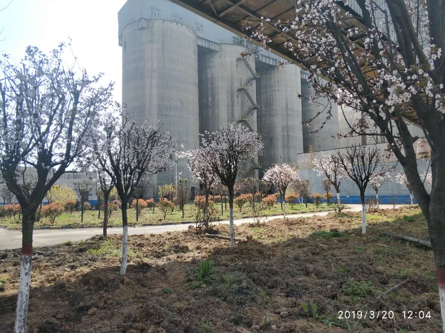【鋼城文苑】化蝶振翅 追夢(mèng)前行