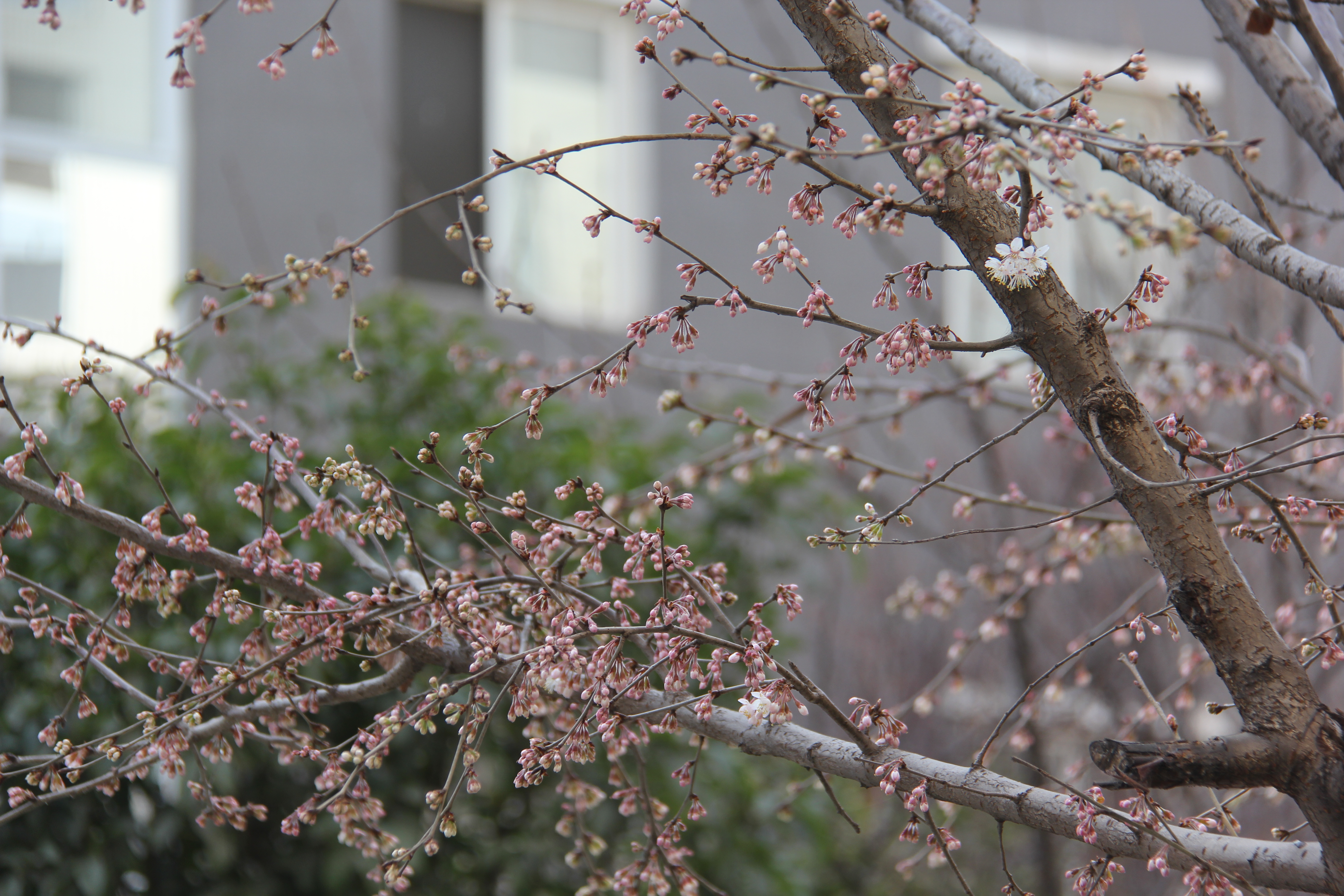 h䓡]һ(g)첻Խ  ]һ(g)첻(hu)