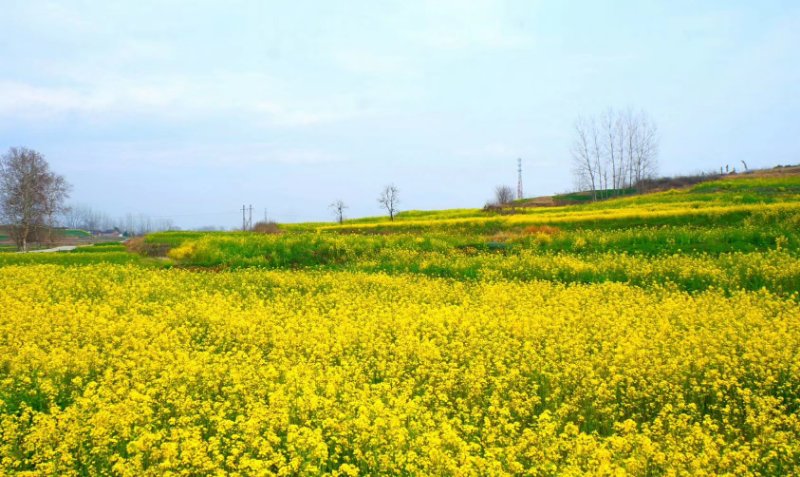 䓳Է@Ђs