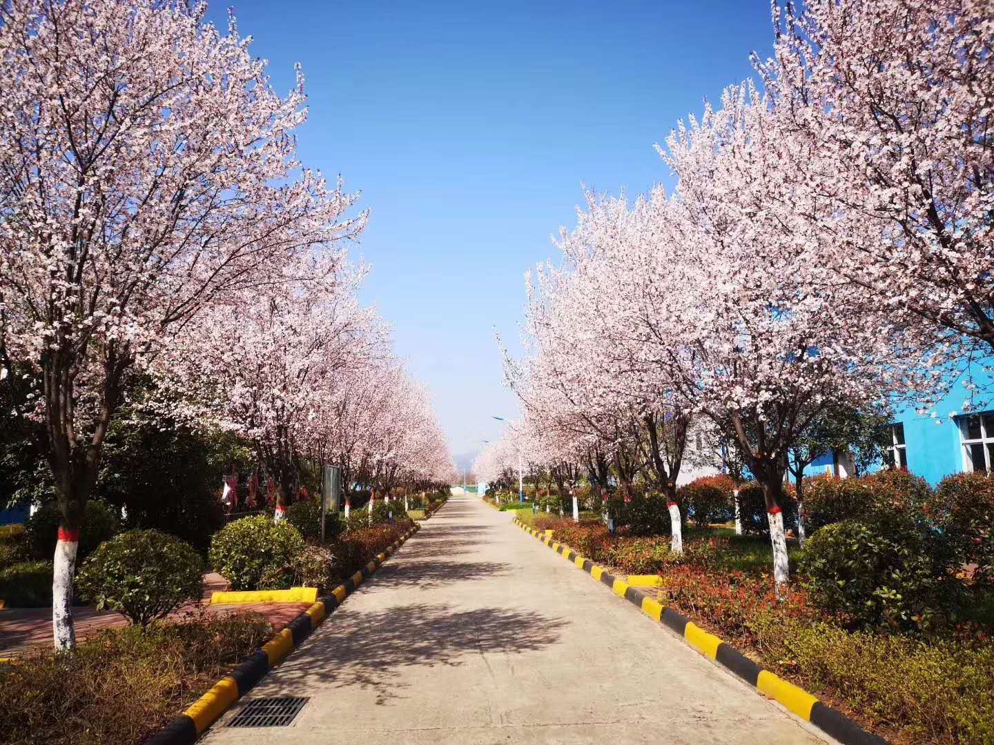 䓳Էh䓵Ĵ죬һһ(hu)
