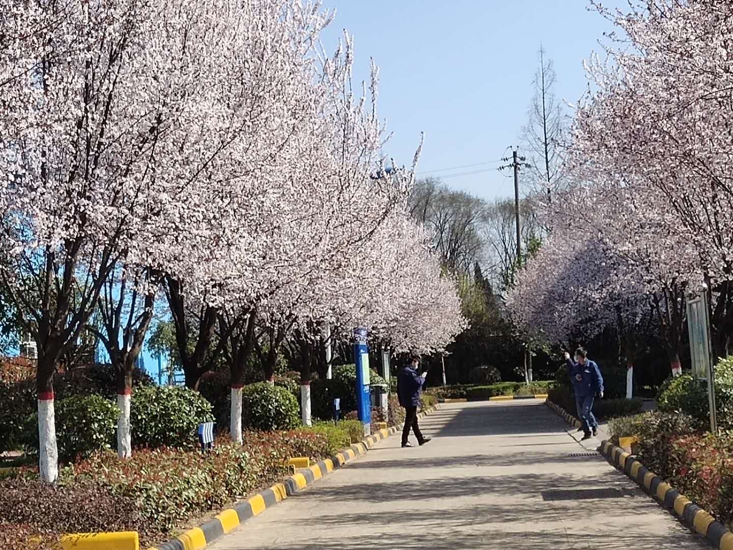 䓳Էh䓵Ĵ죬һһ(hu)