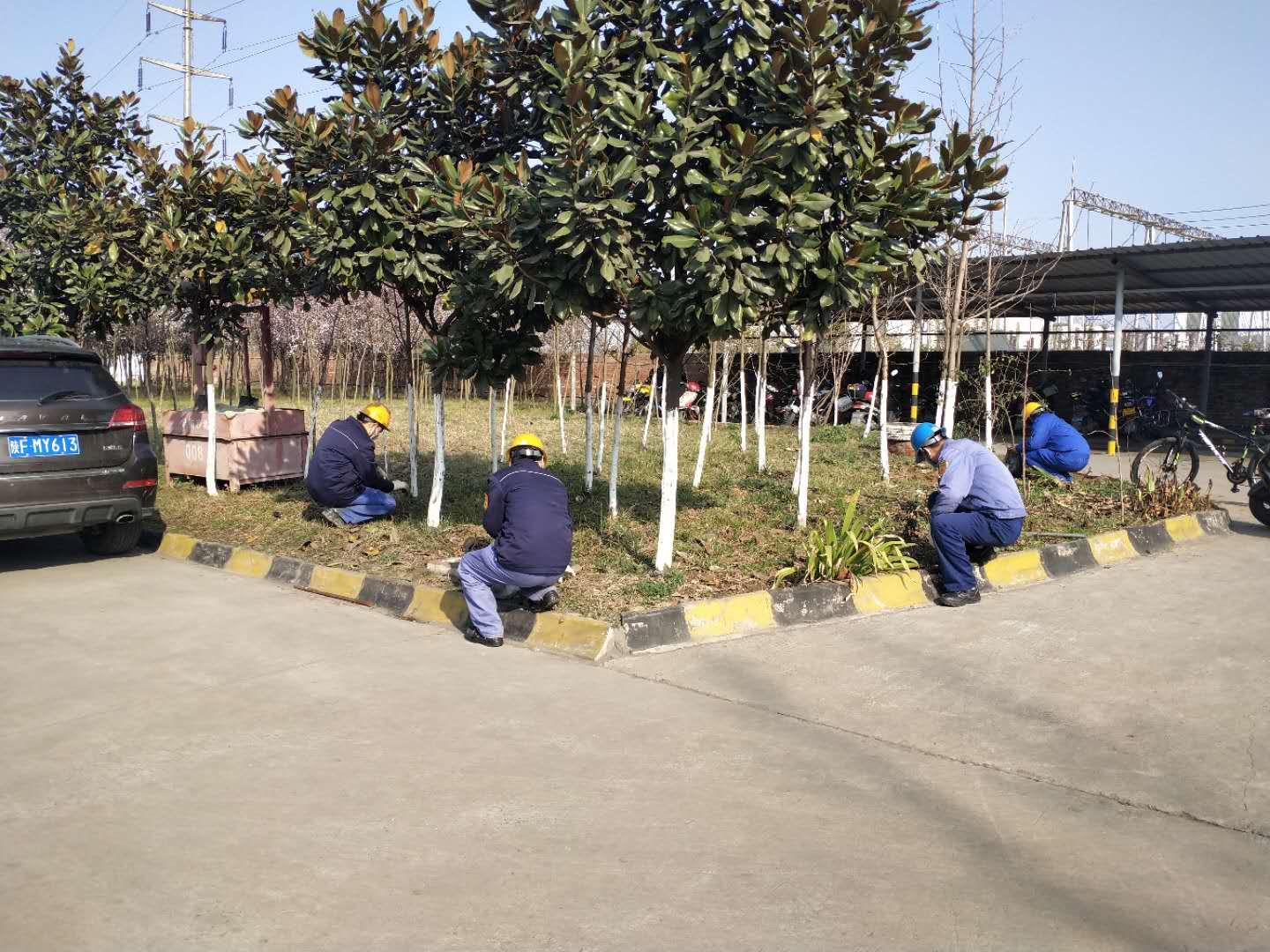 【鋼城文苑】除草護綠  為春添彩