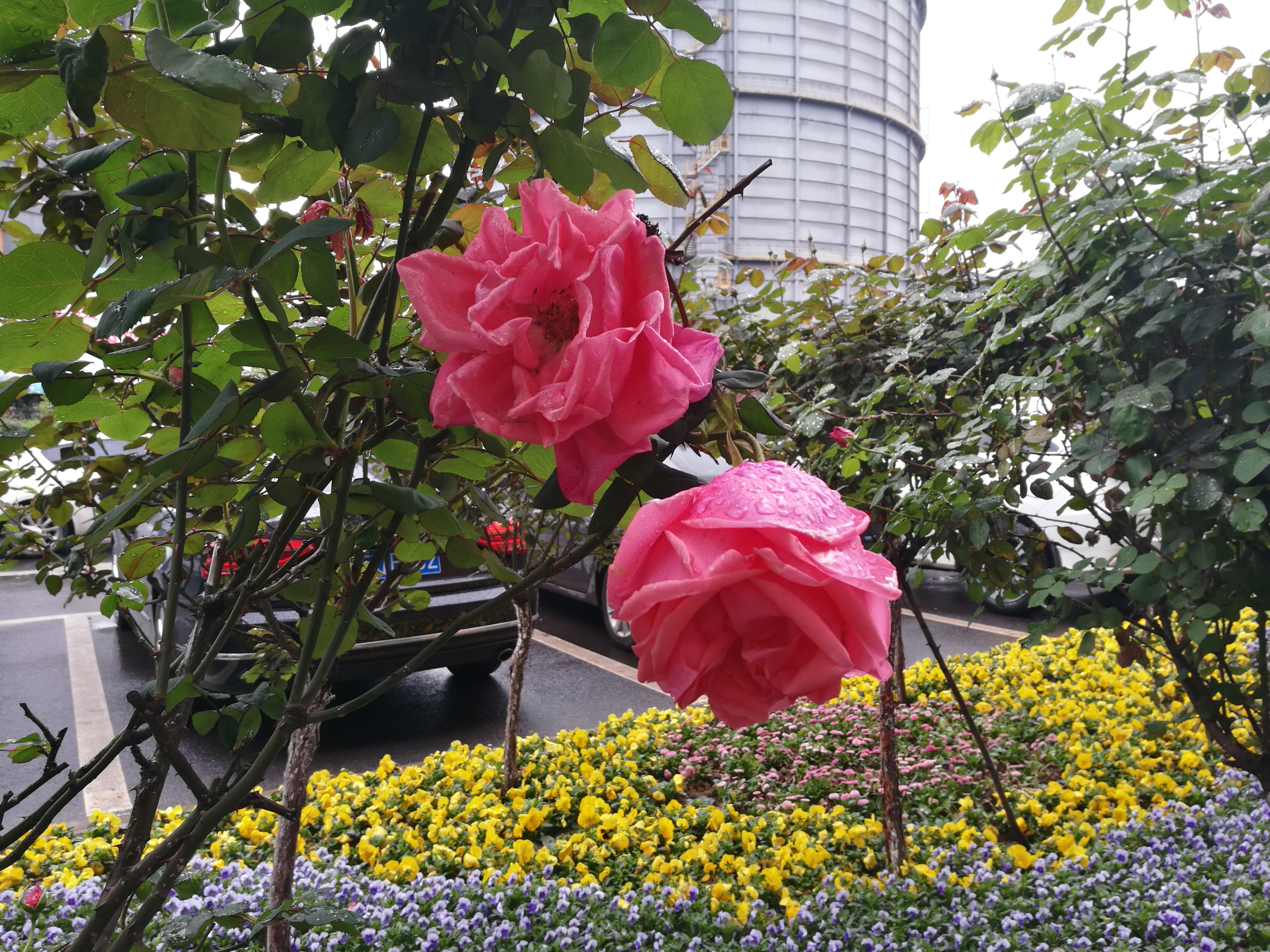 h䓡¼_