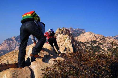 從定軍山到牛背梁，一“山”更比一“山”高