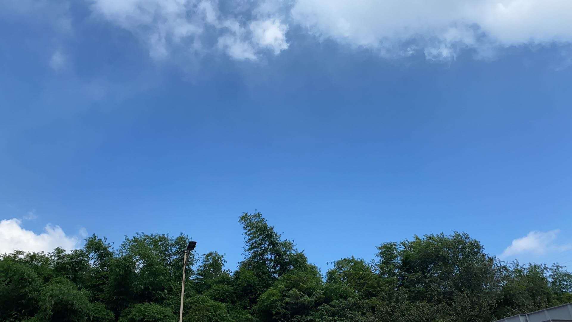【鋼城文苑】鋼城的那片竹