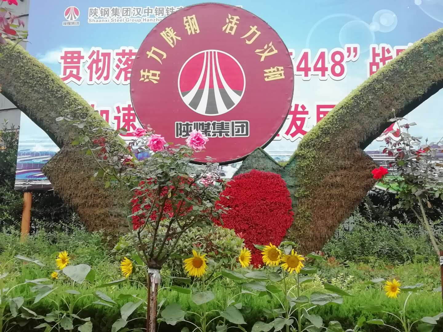 【鋼城文苑】向日葵禮贊